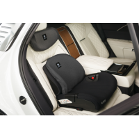 Автокресло Martin noir Elves+ Whole black (бустер со спинкой и подголовником, с Isofix) 